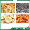 China Ginger Drying Machine,Automatic Mushroom Drying Dehydrating Machine